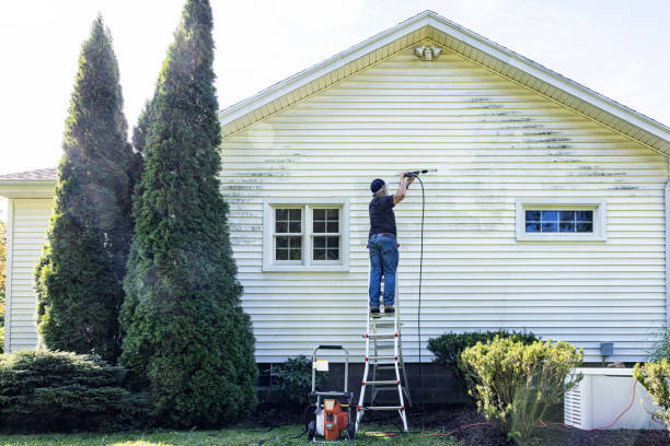Best Driveway Cleaning and Restoration in Wrens, GA